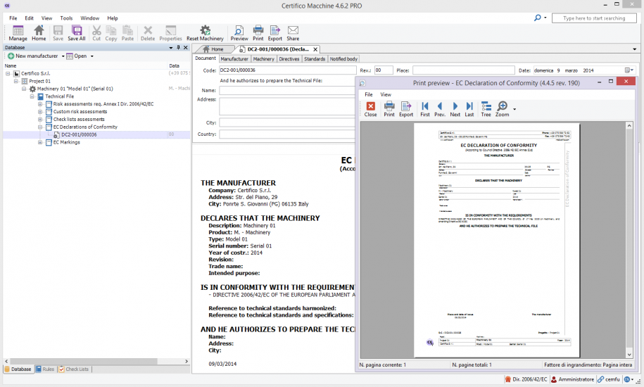 report-ec-declaration